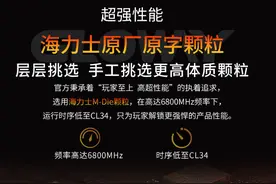 电脑内存只有16GB？升级吧！光威D5开启48GB时代，将成未来主流图片