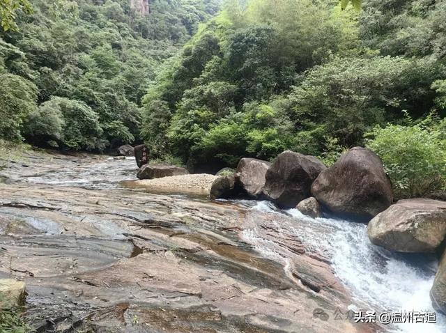 温州这个以畲族始祖命名的4A级景区，秘藏着一座“生物王国”！