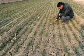 老皇历说2025年是“七龙治水，四牛耕田，九人分丙”，是好是坏？图片