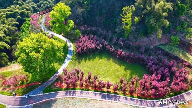 城建第一线丨海棠盛景今日开园 这个假期就到这里享受慢时光