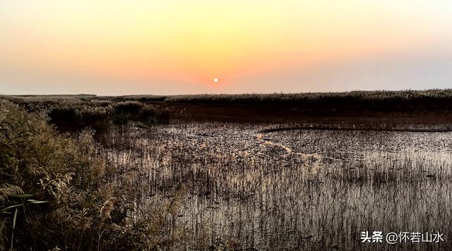 2025辽宁赏秋之旅日记(6)——到辽河口中国最北海岸线看日出 观鸟