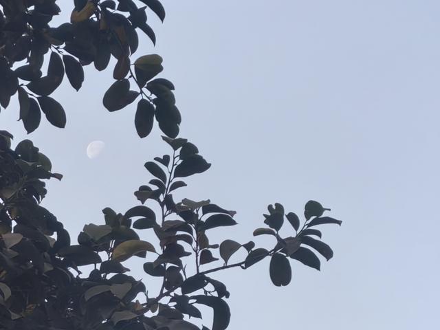 不要向他人倾诉自己的痛苦