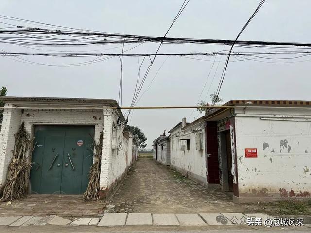 冠县乡韵·桑阿镇野场村