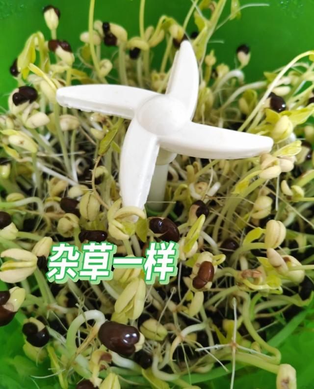 图便宜买的5个小家电，曾被吹捧上天如今沦为笑柄，看看你有几个
