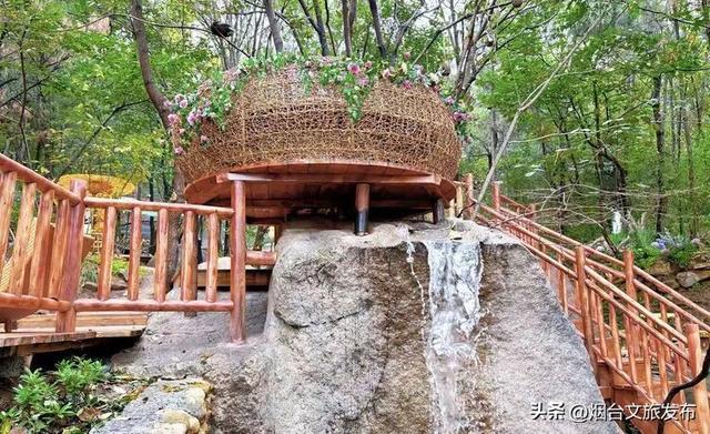 【乐游烟台】正式宣布！下一轮降温前，烟台人该……