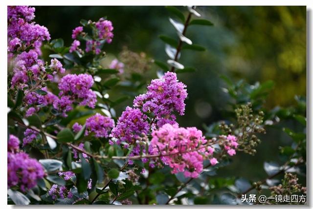 大连滨海路终点的海之韵公园