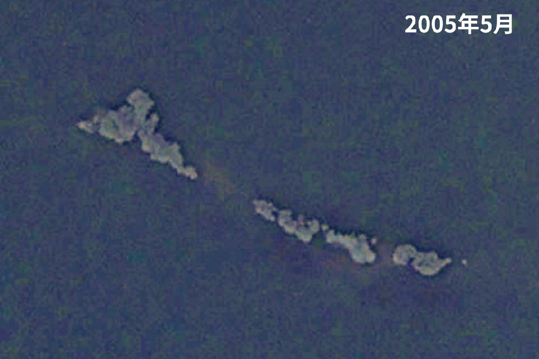 沙漠踏雪，只在武汉，最佳观赏期到了！