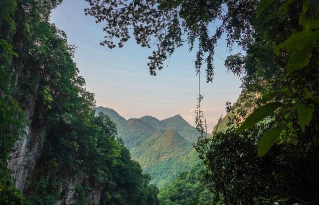 广州有个依山而建的公园，适合夏天徒步乘凉，坐地铁直达