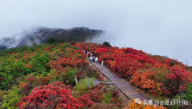 刷屏了！晋城“新顶流”！