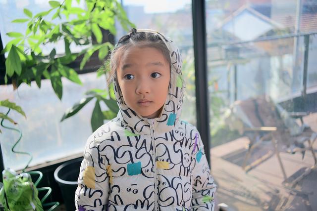 600元国产定焦，四种题材可玩性如何？体验铭匠Z口镜头23mm F1.8