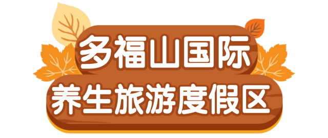 这条「五彩斑斓」的赏秋路线，把秋天都打包给你了！