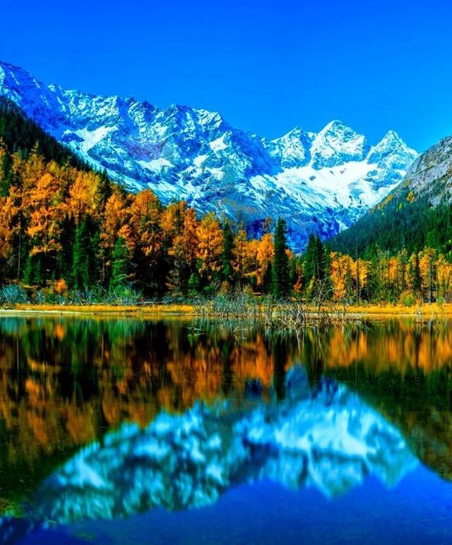 2025年黑水县彩林观赏指数预报|3级，最佳观赏期