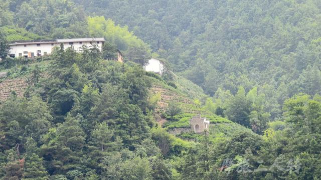 皖浙摩旅二人转——蜈蚣岭篇（下）