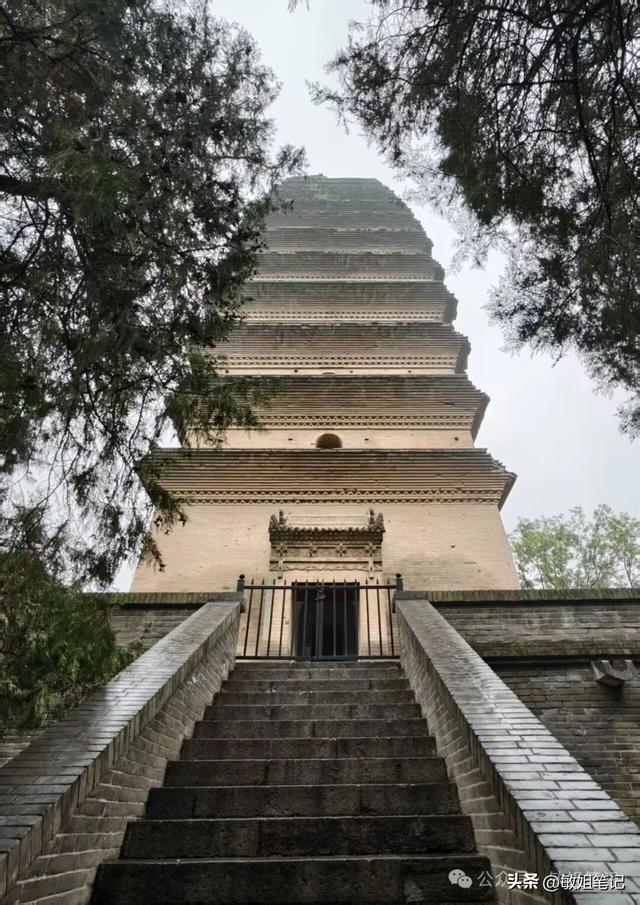 【西安游学之三】文博探秘：西安博物院