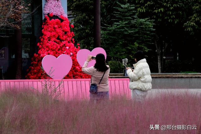 达活泉公园最美秋色（图）