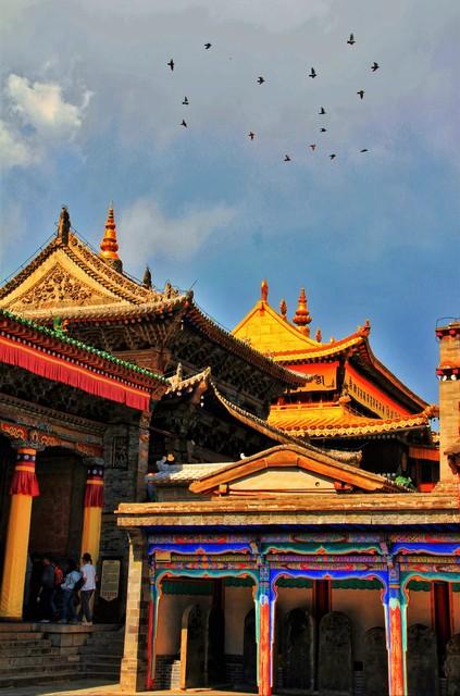 逃离40℃酷暑！9个自带空调的避暑旅行地推荐，收藏了