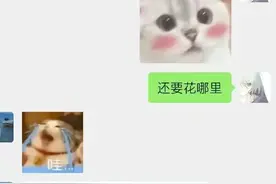 【胖猫事件】网恋风波背后的真相：爱情与虚假的较量图片