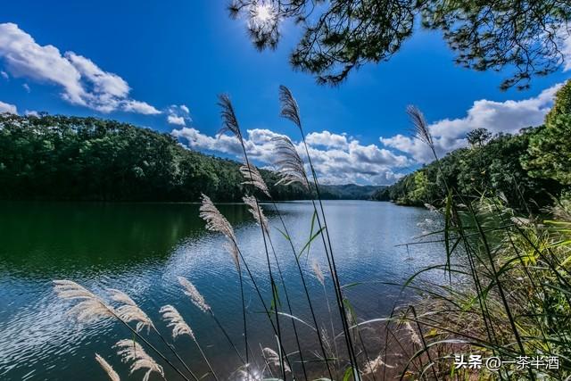 自驾营地：云南普洱市免费床车房车自驾露营地停车场主要景点美食
