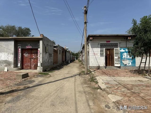 冠县乡韵·定远寨镇前杏园村