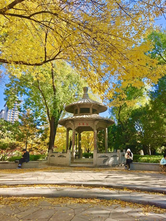 写生日记——251101 北京·玲珑公园