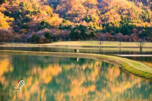 利州＝梦幻秋色打卡地