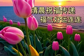 最新款清晨老同学早安问候集，吉祥如意绕心间图片