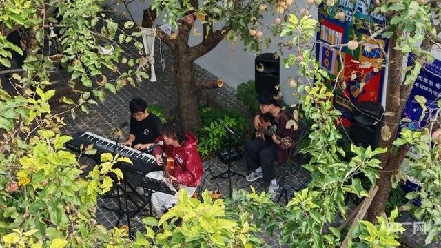 苹果树下品咖听歌，京西福地门头沟这里松弛感拉满——