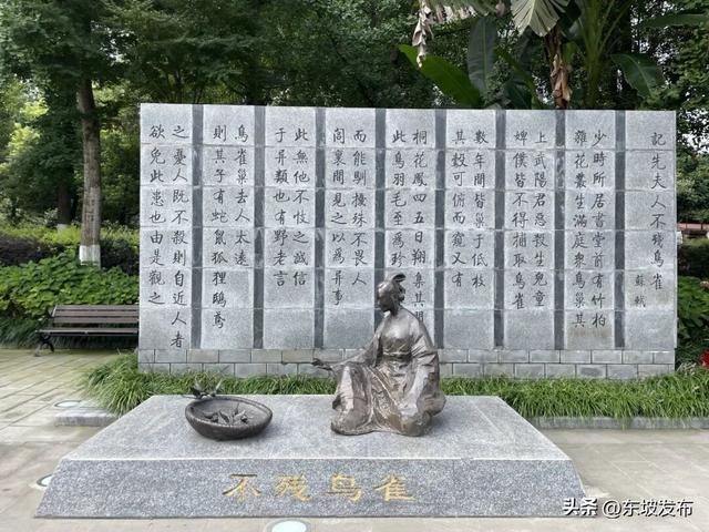 你好 东坡！| 苏母公园：走进这里，寻找东坡家的“她力量”