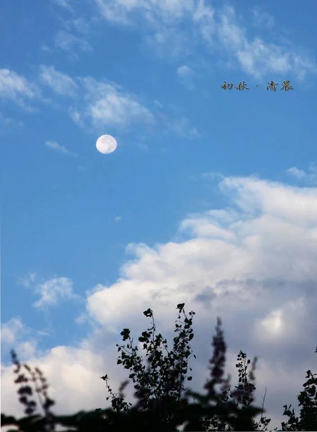 初秋的美好，从清晨开始美景令人醉，让我们带着好心情从快乐出发