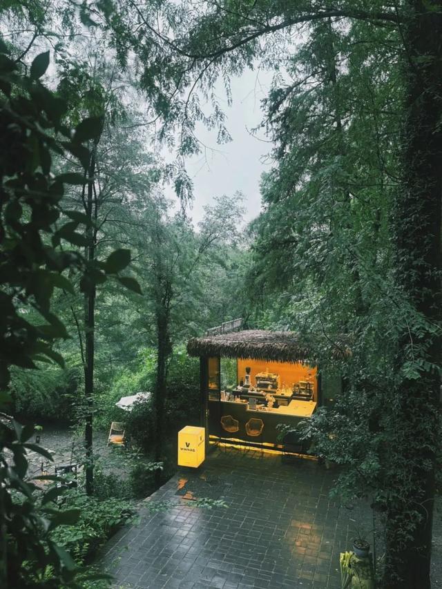 降雨持续！最凉快的一周！黄陂赏雨去！