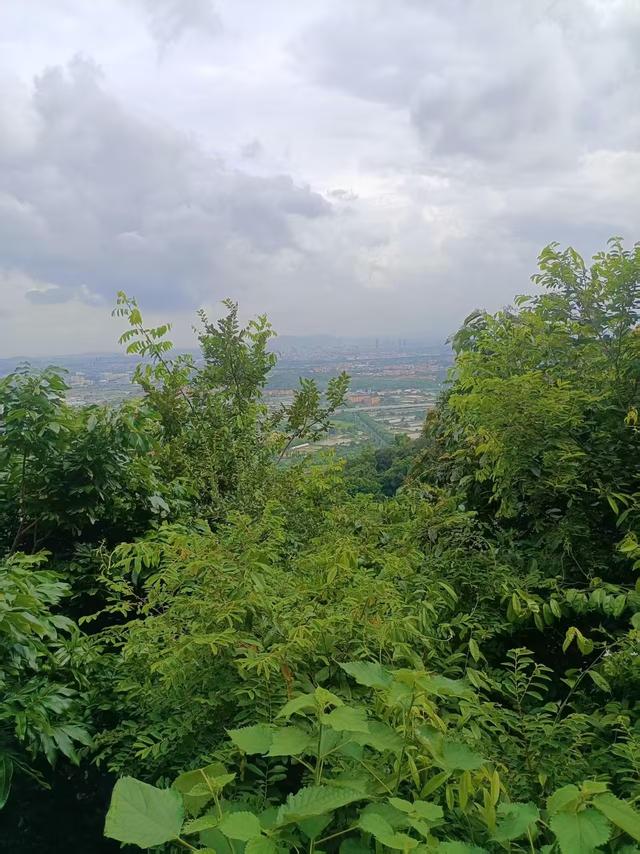 广东再行记之十一 深圳篇之八 佛山南海西樵山（2）