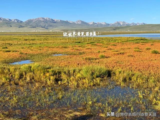 甘南旅游14景（上），拍摄特色照片并题诗赞之