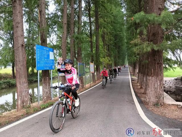 祁东：水杉风景美如画 网红打卡等您来