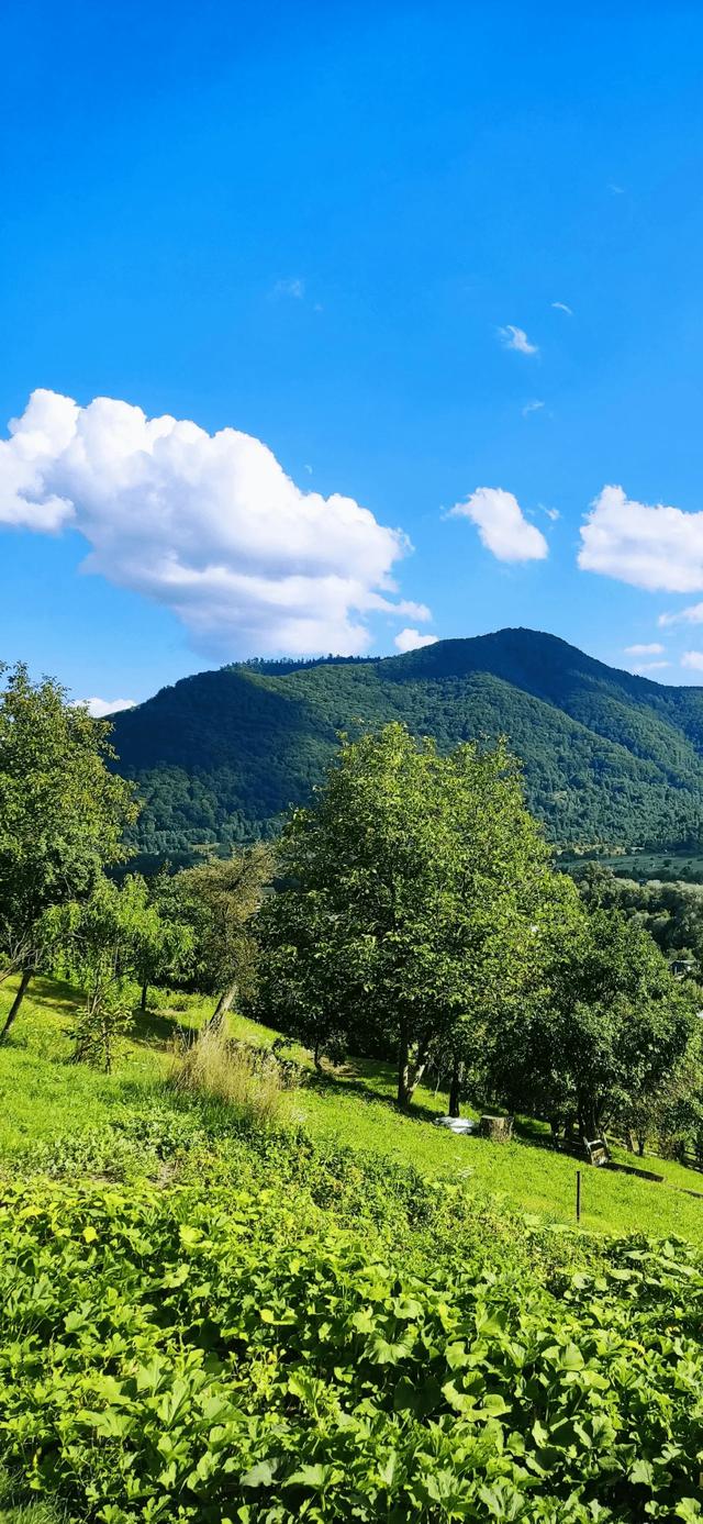 手机壁纸|自然风光，风景如画