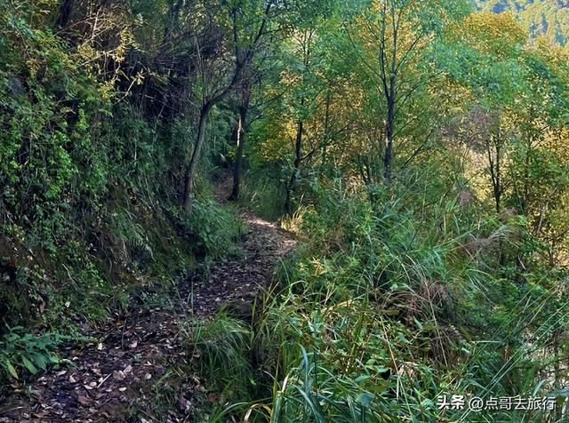 成都爬山徒步线路，全部免费，魅力不可挡，尽享山野宁静与清幽！