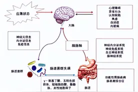 肠菌移植疗法（FMT），为“星星的孩子”打开希望之门图片