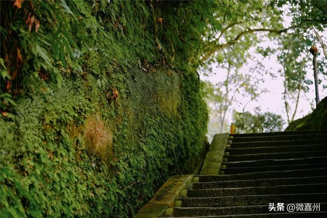 给生活充充电，与大佛共赏一山秋色