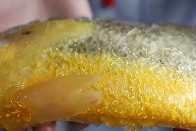 大国重器！沙海粮仓之后再现海上粮仓，15万吨级国字号重器成关键