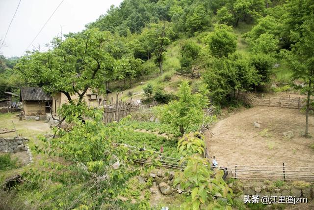 山水人间