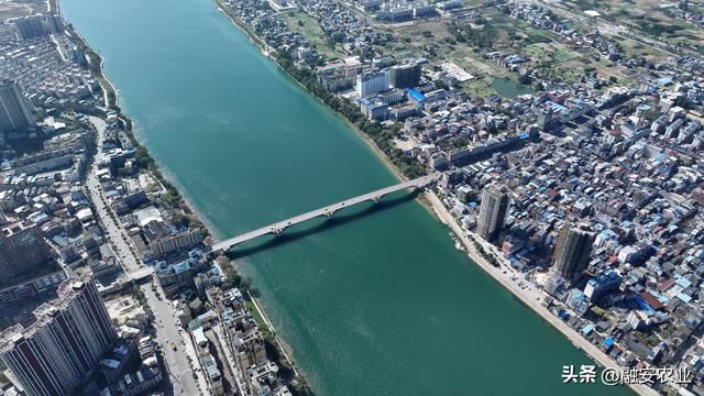 广西融安：冬日融江生态美