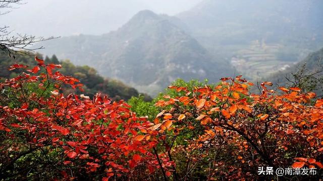 初冬“调色盘”已上线！古林坪红叶进入最佳观赏期，快来打卡！