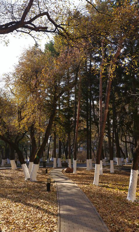 秋之彩色吉林｜层林尽染，鹿影翩跹！这里的秋天美成一首诗