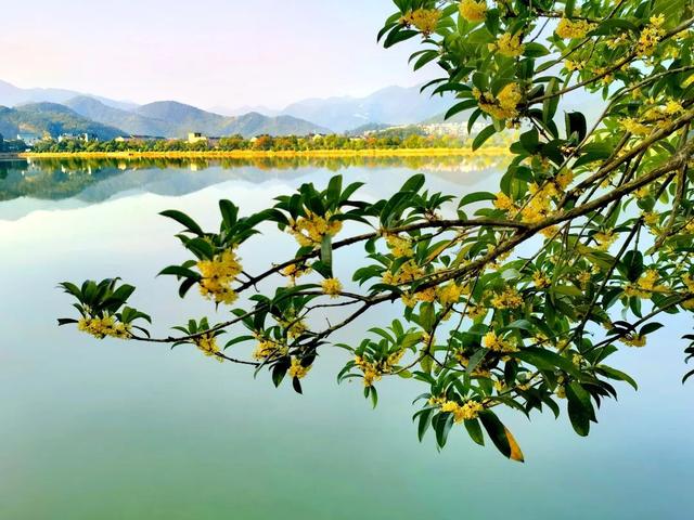 向全萧山人道歉！“上班”迟到了！
