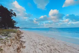 徐小明：周三操作策略图片