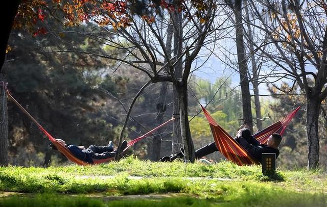 西安大明宫里邂逅初冬暖阳