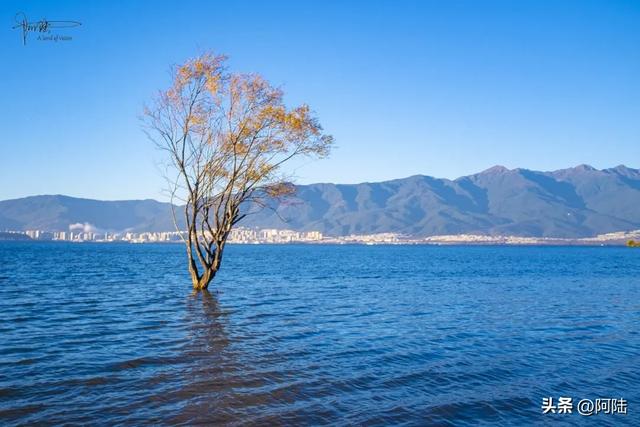 洱海的湿地公园很多，这几座孤岛风景不错，只是唯一的浮桥太晃荡