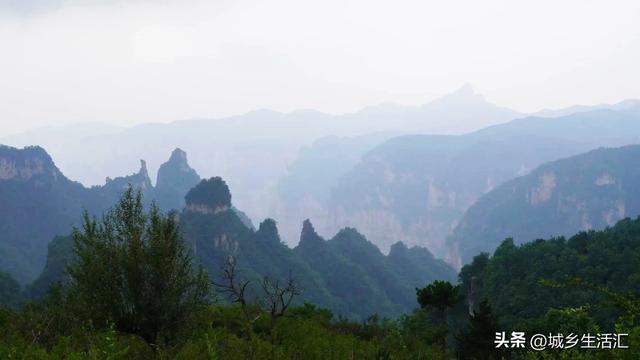 山上的野花为你开 从锡崖沟经王莽岭隧道到达太行之巅东庙华村