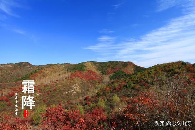 盂县24节气风光——霜降