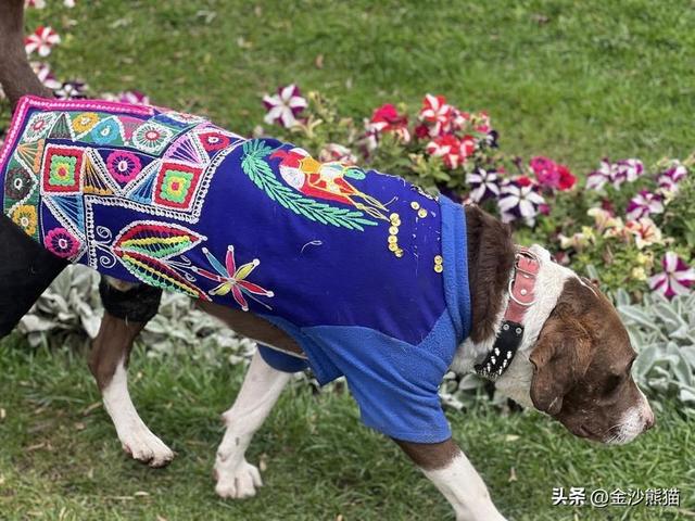 秘鲁库斯科——成都七旬老人南美自助游