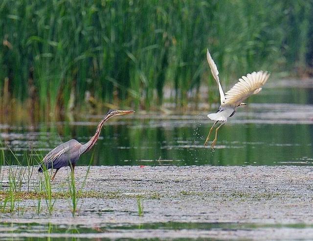 秋冬来单县，喝“天下第一汤”，逛“天下第一坊”！
